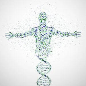 SEQUENCIAMENTO DO GENOMA HUMANO