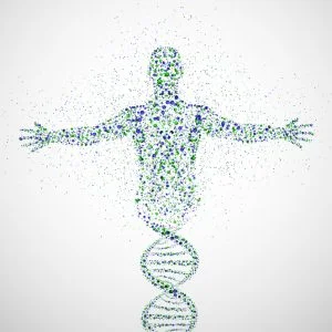 SEQUENCIAMENTO DO GENOMA HUMANO